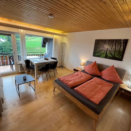 Haus Am Sonnenberg, Todtnauberg, Ferienwohnung 204, Direkt Am Skilift-Skipiste, Naehe Feldberg 외부 사진