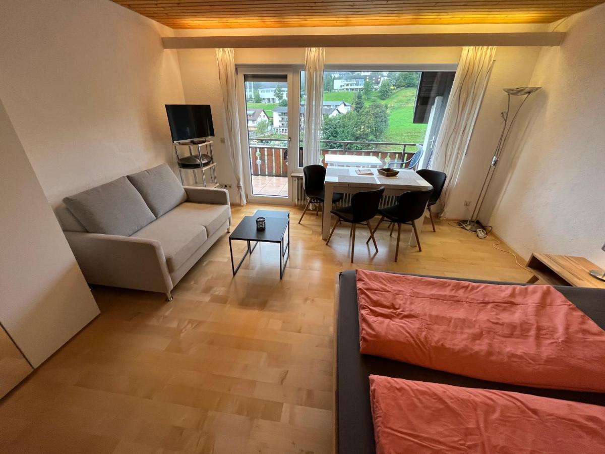 Haus Am Sonnenberg, Todtnauberg, Ferienwohnung 204, Direkt Am Skilift-Skipiste, Naehe Feldberg 외부 사진